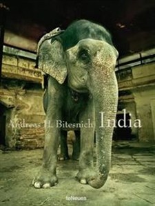 Obrazek Andreas H. Bitesnich - India