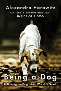 Obrazek Being a Dog (Horowitz Alexandra)(Paperback), Simon & Schuster Export Ed 2016
