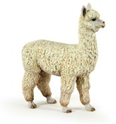 Alpaka - Ksiegarnia w niemczech