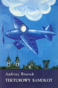 Obrazek Tekturowy samolot