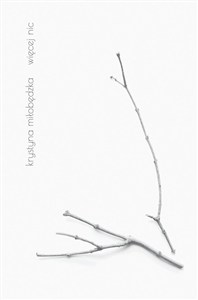 Bild von więcej nic