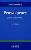 Prawo prac... -  Książka z wysyłką do Niemiec 