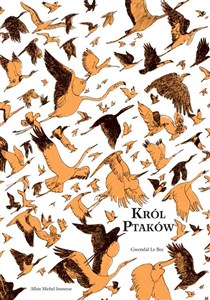Obrazek Król ptaków