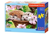 Puzzle Spr... -  Książka z wysyłką do Niemiec 