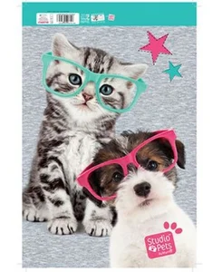 Obrazek BLOK RYSUNKOWY A4 STUDIO PETS PEK 155A