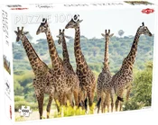 Puzzle Żyr... - Ksiegarnia w niemczech