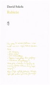 Rubieże - Dawid Szkoła -  polnische Bücher