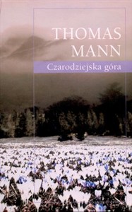 Obrazek Czarodziejska góra