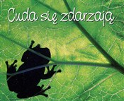 CUDA SIĘ Z... - OPRACOWANIE ZBIOROWE - buch auf polnisch 