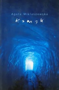 Obrazek Kamyk