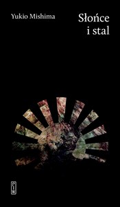 Obrazek Słońce i stal