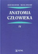 Polska książka : Anatomia c... - Adam Bochenek, Michał Reicher
