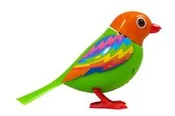 Polska książka : DigiBirds ...