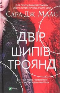 Bild von Dvіr shipіv і troyand