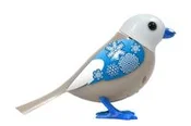 Książka : DigiBirds ...