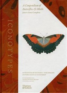 Bild von Iconotypes A compendium of butterflies and moths