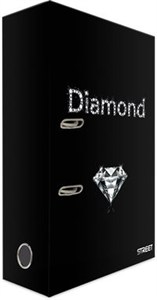 Obrazek Segregator A4 Treasure