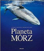 Planeta mó... - Laurent Ballesta, Pierre Descamp - buch auf polnisch 