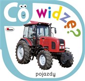 Co widzę P... - Piotr Kozera -  Polnische Buchandlung 