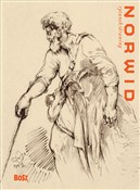 Norwid Rys... - Agnieszka Widacka-Bisaga - buch auf polnisch 