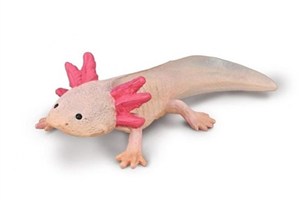 Obrazek Axolotl