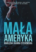 Mała Amery... - Marlena Sychowska -  fremdsprachige bücher polnisch 