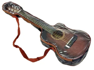 Bild von Gitara w pokrowcu