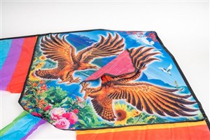 Obrazek Latawiec Mrak 02