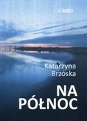 Na północ - Katarzyna Brzóska -  fremdsprachige bücher polnisch 