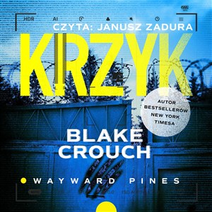 Obrazek [Audiobook] Krzyk