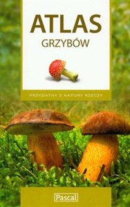 Bild von Atlas Grzybów Przydatny z natury rzeczy