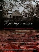 Polnische buch : W jednej w... - Beata Gołembiowska