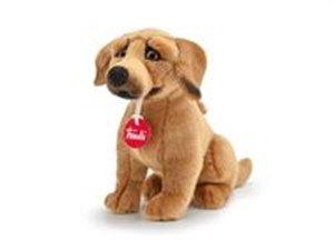 Bild von Rhodesian Ridgeback