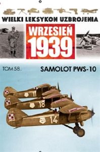 Bild von Samolot PWS 10