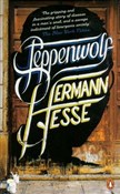 Steppenwol... - Herman Hesse -  polnische Bücher