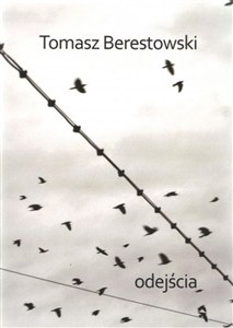 Bild von Odejścia