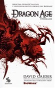 Dragon Age... - David Gaider - Ksiegarnia w niemczech