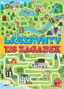 Polnische buch : Labirynty ...