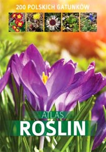Bild von Atlas roślin 200 polskich gatunków