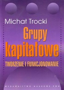 Obrazek Grupy kapitałowe Tworzenie i funkcjonowanie