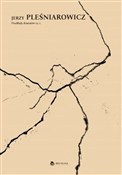 Polska książka : Przekłady ... - Jerzy Pleśniarowicz