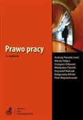 Polnische buch : Prawo prac...