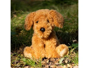 Obrazek Pies Cockapoo