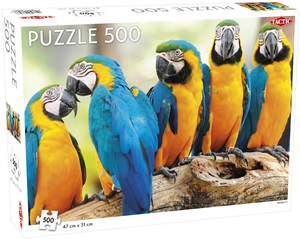 Bild von Puzzle Parrots 500
