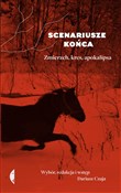 Polnische buch : Scenariusz... - Dariusz Czaja (red.)