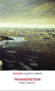 Obrazek Frankenstein