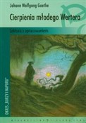 Polnische buch : Cierpienia... - Johann Wolfgang Goethe