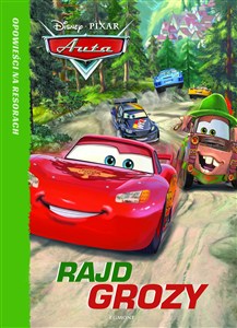 Obrazek Auta Rajd grozy