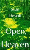 Książka : Open, Heav... - Sean Hewitt
