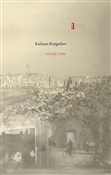 Pamiętnik - Kalman Rotgerber - buch auf polnisch 